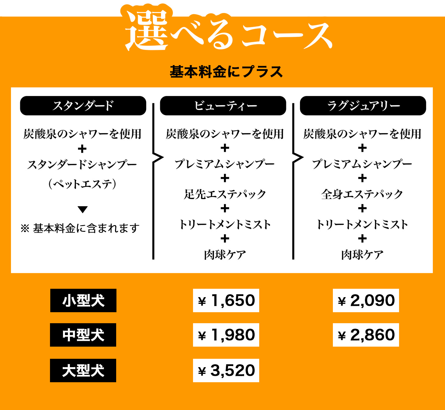 選べるコース