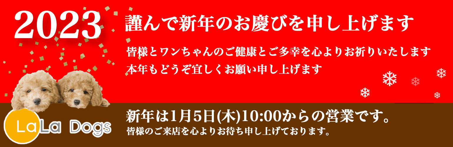 ララドッグス新年
