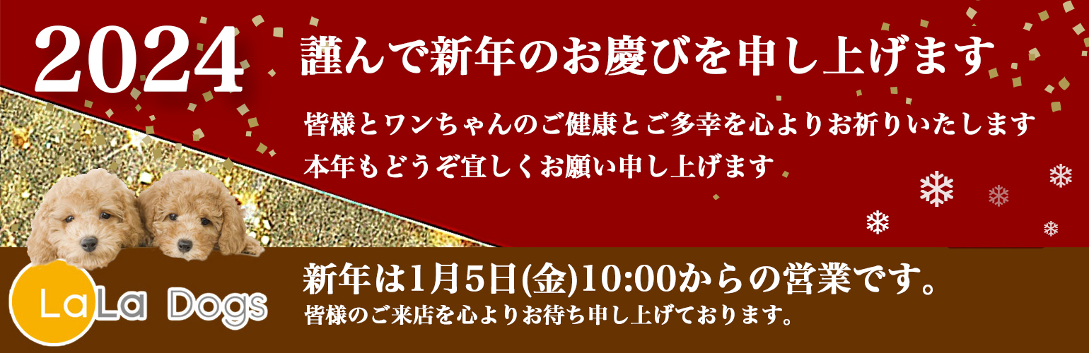 ララドッグス新年