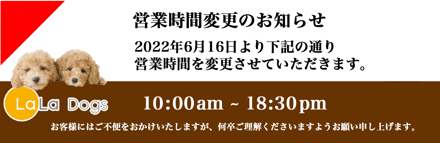 ララドッグス臨時休業