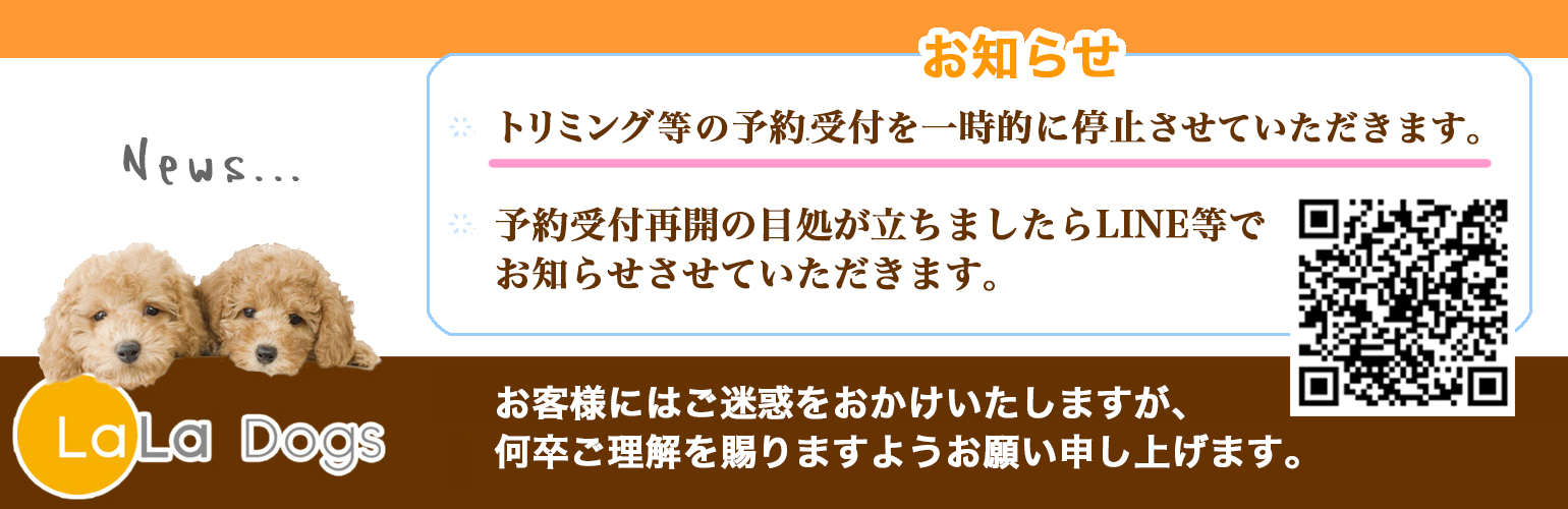 ララドッグス予約