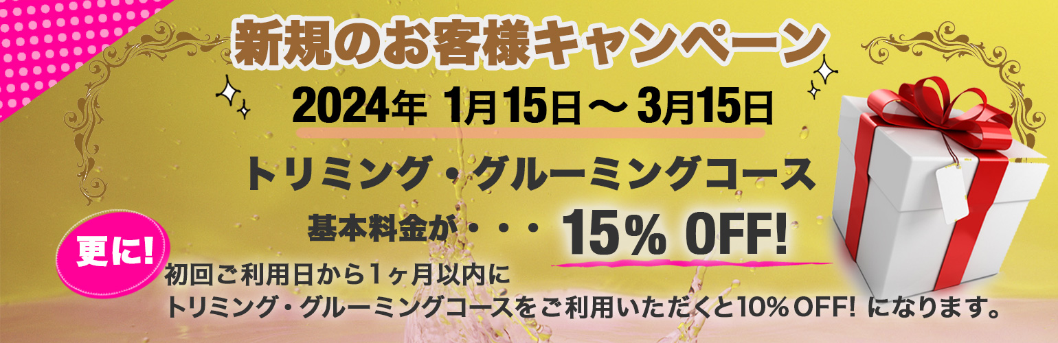 ララドッグス新年