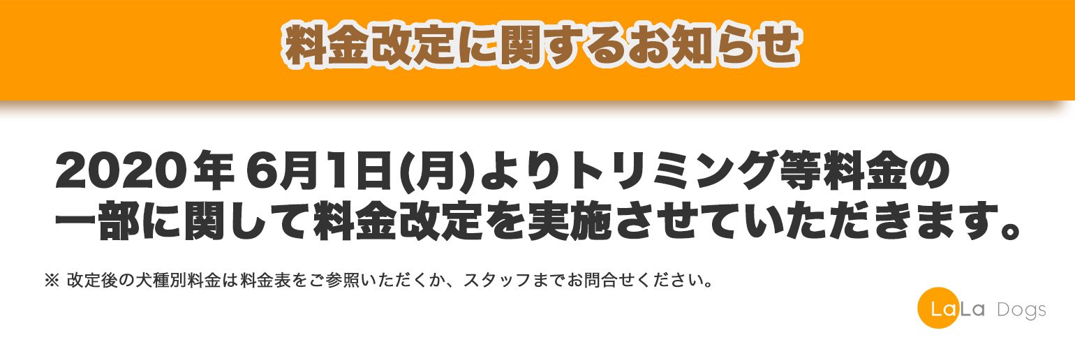 ララドッグス新年