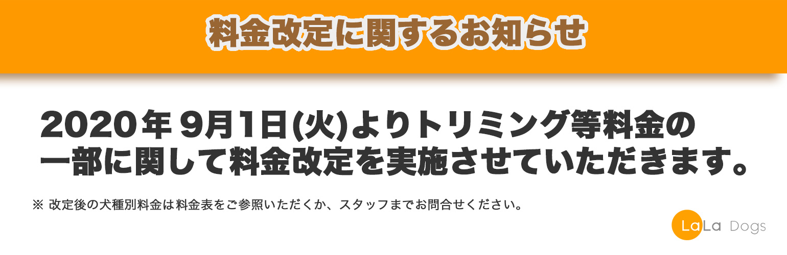 ララドッグス新年
