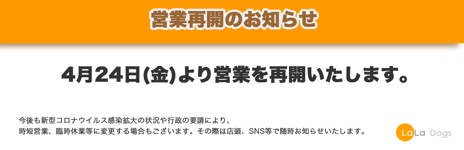 ララドッグス
