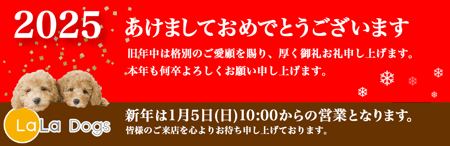 ララドッグス新年