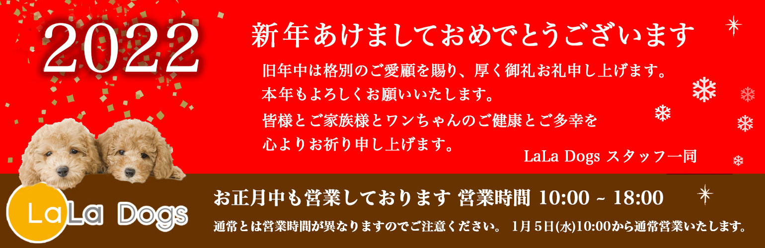 ララドッグス新年