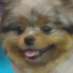 image21