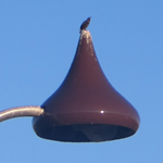 image20